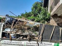 Best Shed Removal  in Park City, MT